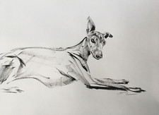 Original signed Ink sketch of