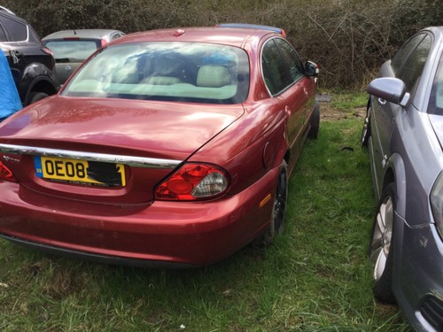 Jaguar type sovereign - jaguar,