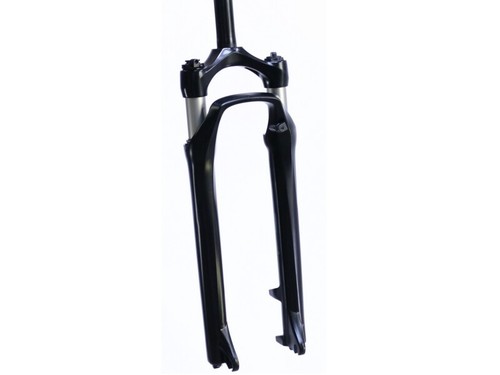Mtb fork 29 - 29", rst