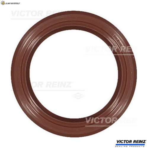 Shaft seal camshaft - shaft,