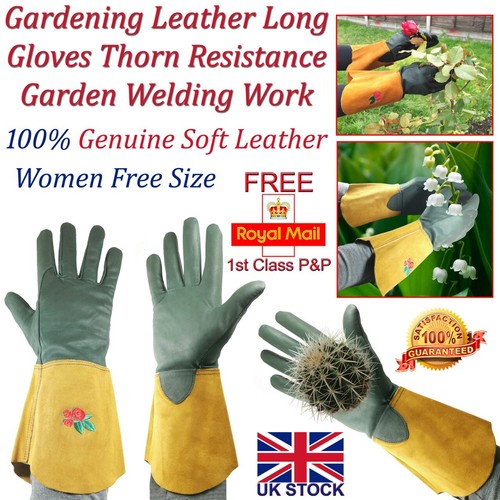 Ltg ladies gardening - gardening, leather