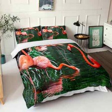 Great Pink Bird Drinks Water