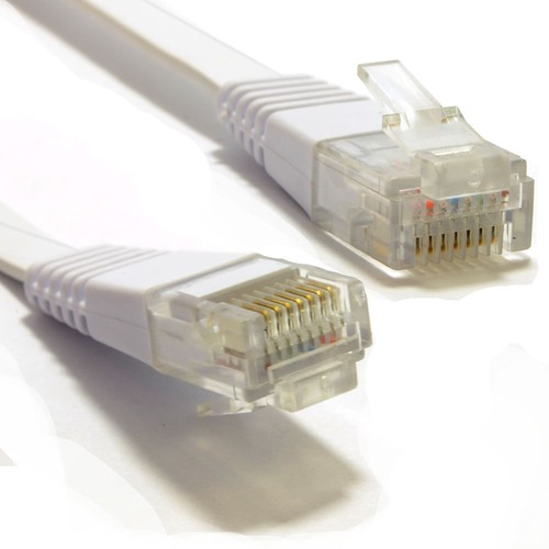 10m flat cat internet - flat,
