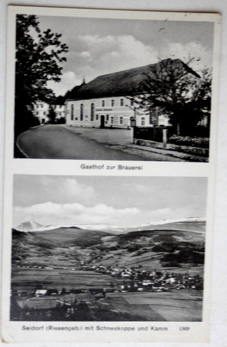 18087 postcard seidorf giant - seidorf,