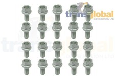 Steel Wheel Rim Nuts/Screws