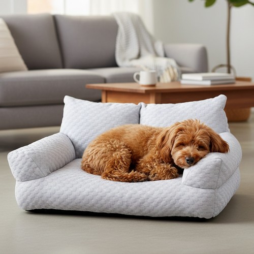 Luxury dog cat - cat, sofa