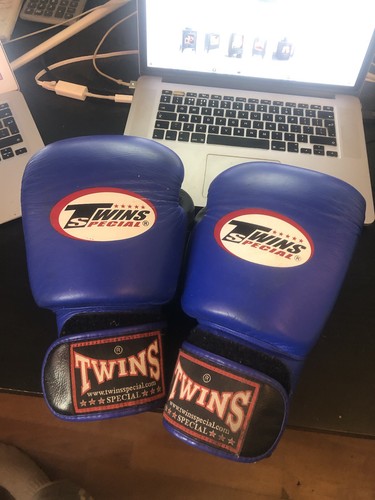 Twins 16oz thai boxing glove - twins,