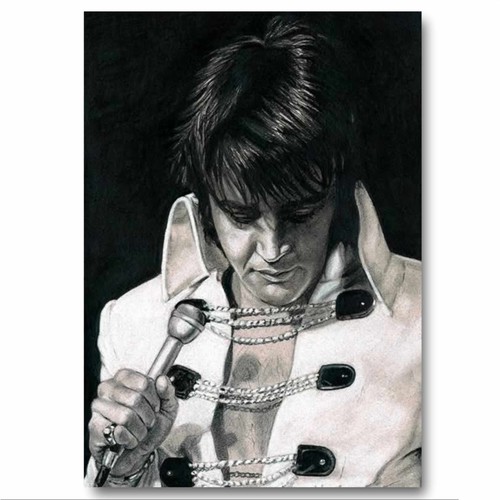 Elvis the king rock and - the,