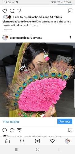 Mehndi peacock fan - peacock,