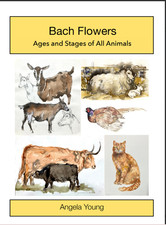 Bach Flowers for Animals –