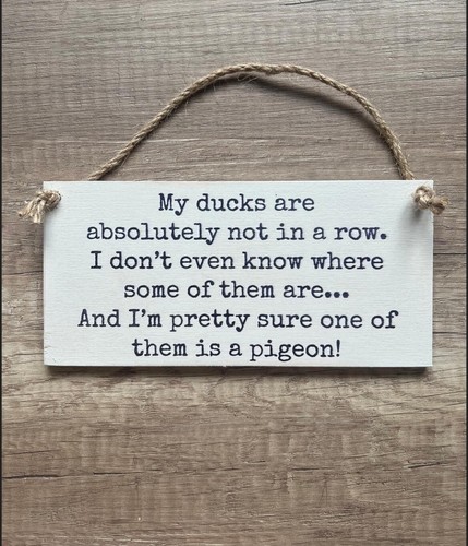 Ducks are not a row - my, in
