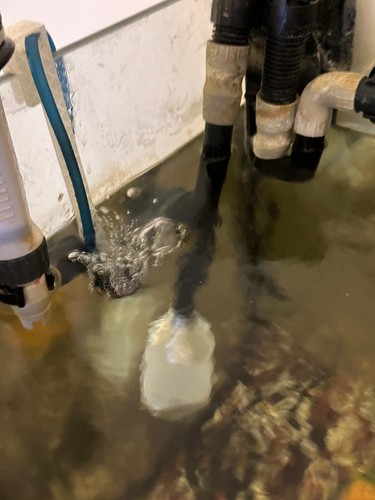 Replacement fluval intake - replacement,