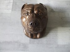 STONE BRONZED PIT BULL TERRIER