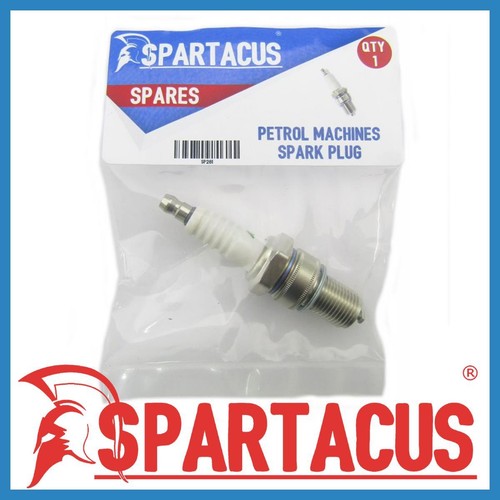 Spartacus sp281 garden - spartacus,