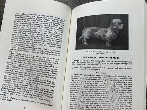 Dandie dinmont terriers - dinmont,
