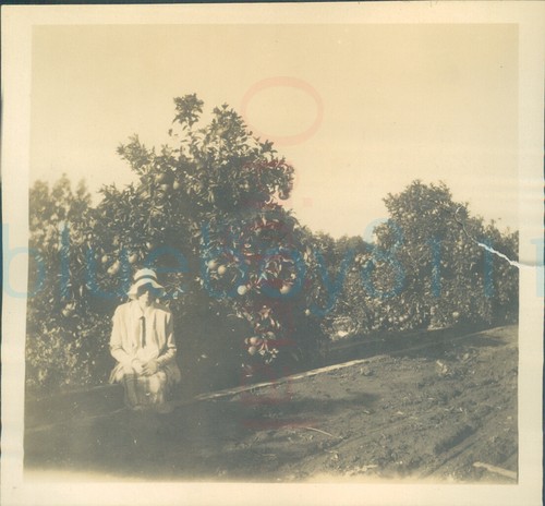 1929 photo south africa - 1929,