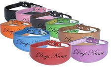 Personalized Leather Dog