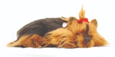 Precious Petzzz - Breathing Yorkshire Terrier Pet Dog with Bed