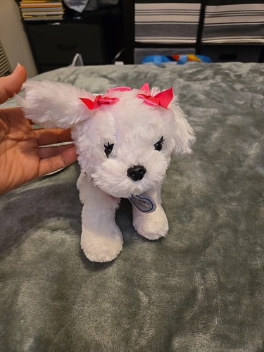 Pink and white poochie co - white, &