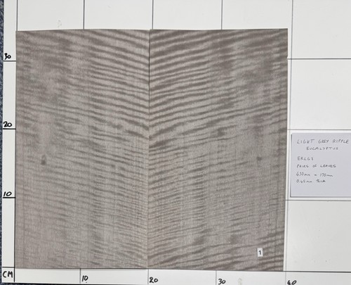 Light grey ripple - light, eucalyptus