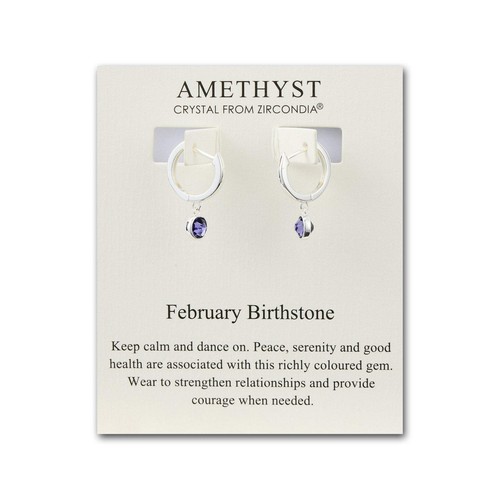 February birthstone hoop - february,