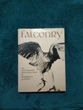 Falconry by Humphrey Ap Evans