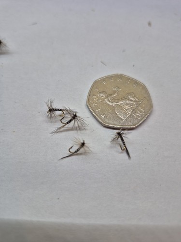 Grizzly midge dry - grizzly,