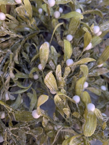 175cm snowy sparkly mistletoe - snowy,
