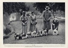 LHASA APSO CHARMING DOGS & OWNERS AT CHELTENHAM DOG SHOW 1934 VINTAGE DOG PRINT