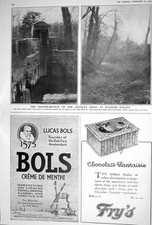 Old 1923 Bols Liqueurs Frys