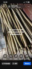 Hazel Walking Stick Shanks