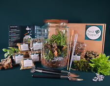 Full Terrarium Kit with Plants & Glass Gift Set - Soil DIY Tools Idea