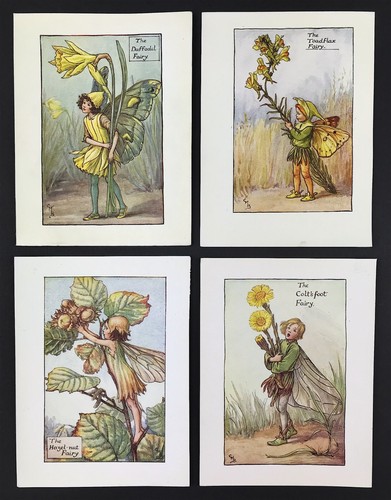 Flower fairies cicely - flower,