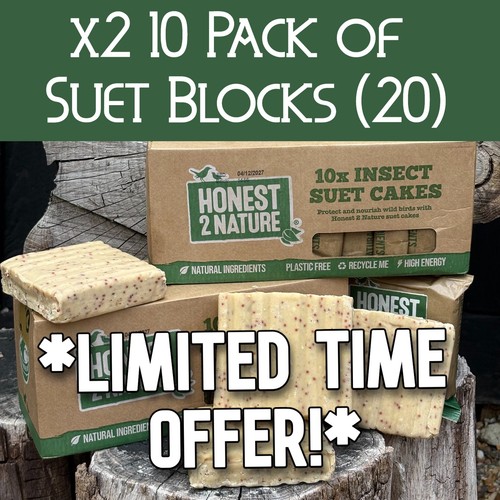 Special offer premium - *special,
