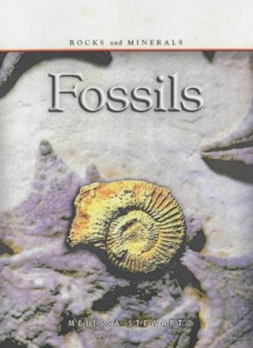 Rocks minerals fossils - &,