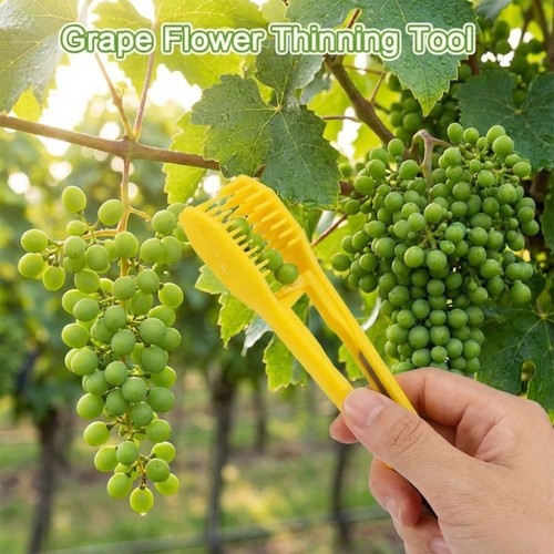 2pcs handheld grape thinner - 2pcs,