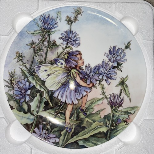 World flower fairies the - world,