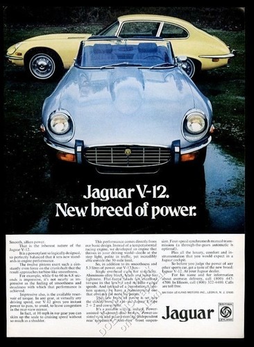 1973 jaguar xke roadster - 1973,