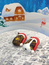 English  Bull Terrier dog