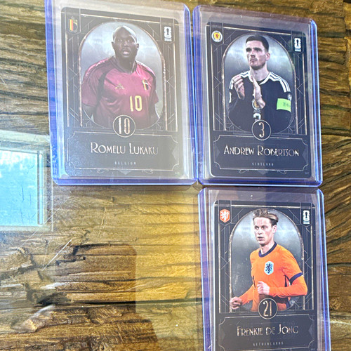 Panini fifa world cup - panini,
