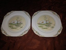 2 X Royal Paragon Water Lily