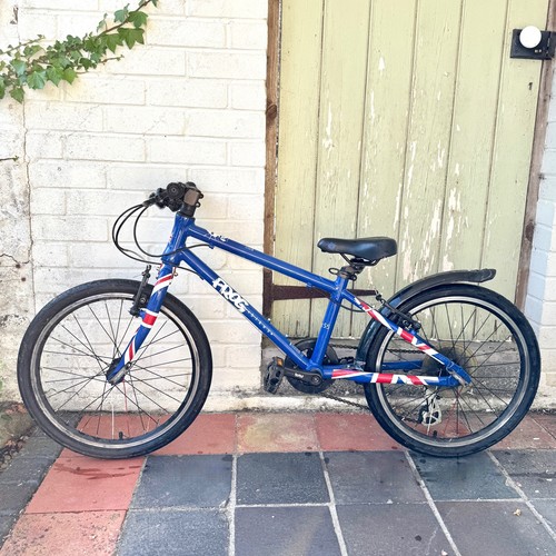 Frog kids bike union - frog,