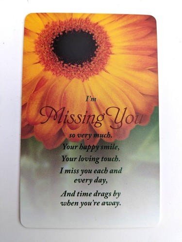 Missing you wallet - you,