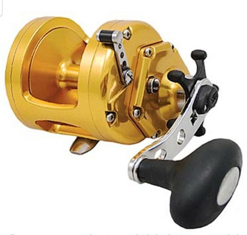 Penn international torque - international,