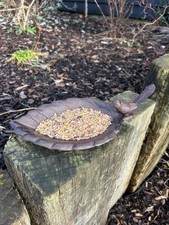 Cast iron leaf bird feeder - iron,