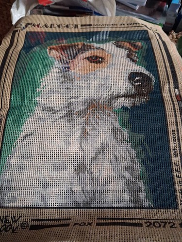 Margot fox terrier - margot,