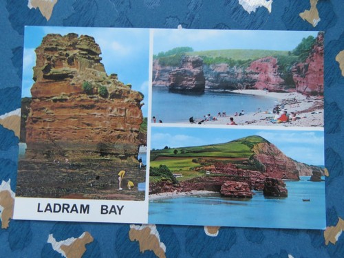 Vintage 1970s ladram - vintage,