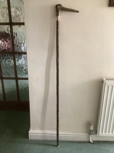 Walking stick hiking - walking, stick,hiking