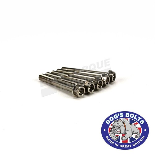 Drilled 60mm stainless - drilled,