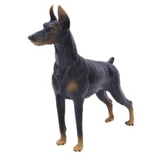 —Simulation Animal Model